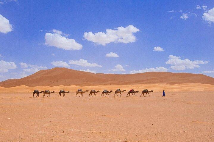 3-Day Marrakech to Sahara Desert Adventure