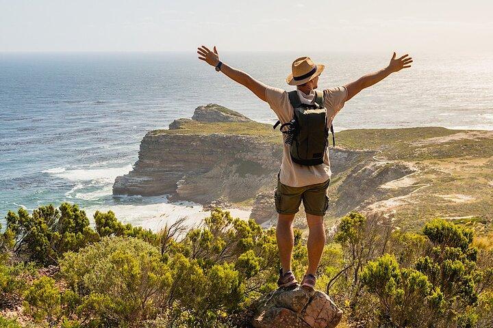 Cape Town Zipline, Penguins and Cape of Good Hope Private Tour