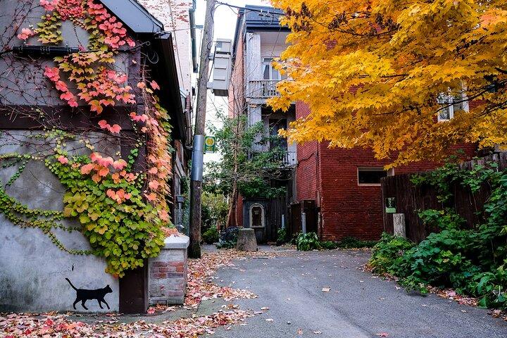 Montreal's Plateau Mont-Royal and Mile End Tour by MTL Detours