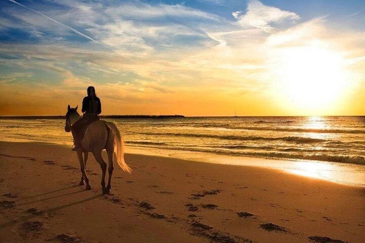 Beach Horse Riding At Sunset In Phuket