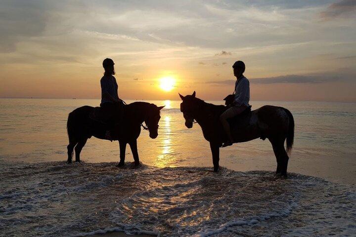 Beach Horse Riding At Sunset In Phuket