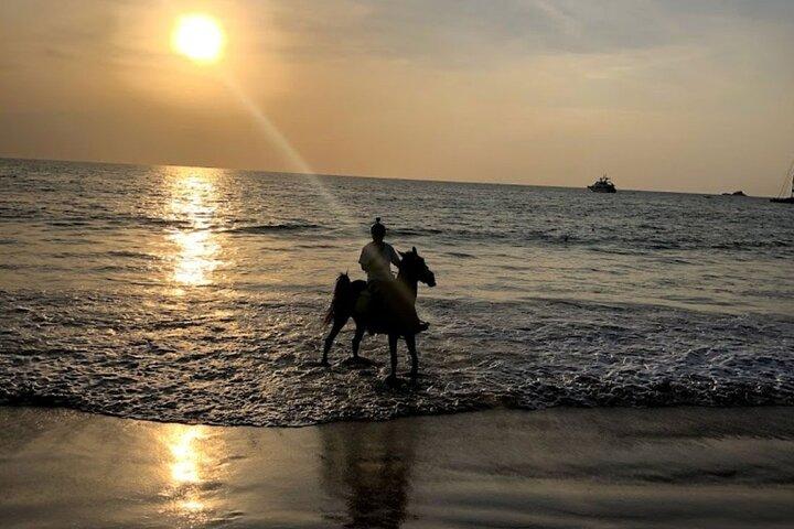 Beach Horse Riding At Sunset In Phuket