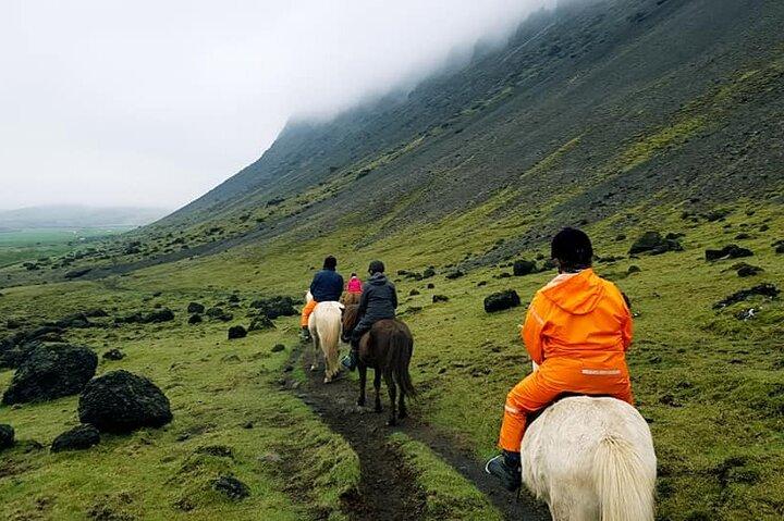 Horse Riding Tour in Reykjadalur (Smoky Valley)-All Riding Levels