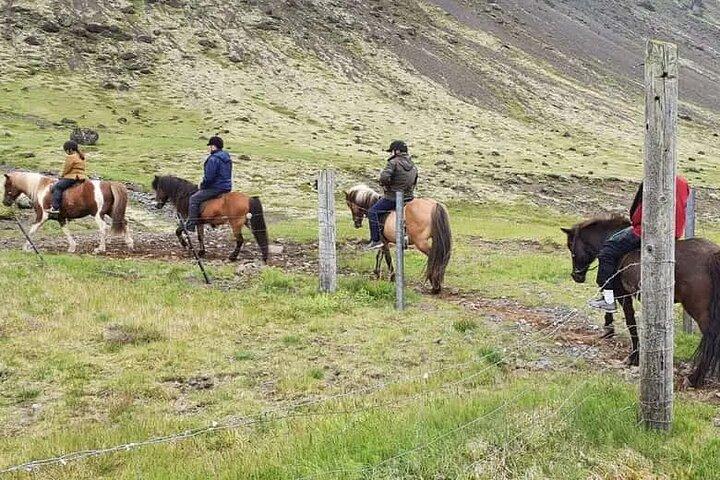 Horse Riding Tour in Reykjadalur (Smoky Valley)-All Riding Levels