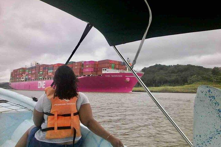 Gamboa Wildlife and Sloth Sanctuary Tour with Pickup