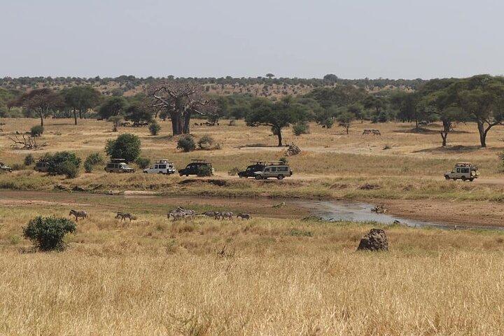 Tarangire National Park Day Tour