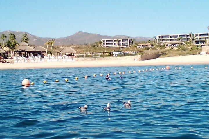 Santa Maria and Chileno Bay Snorkel Adventure Los Cabos