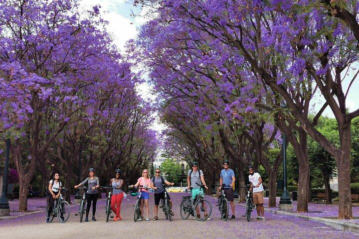 Athens Sunset Bike Tour With Regular or Electric Bike