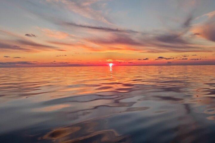 Sunset Dolphin Watching Boat Tour from Vrsar