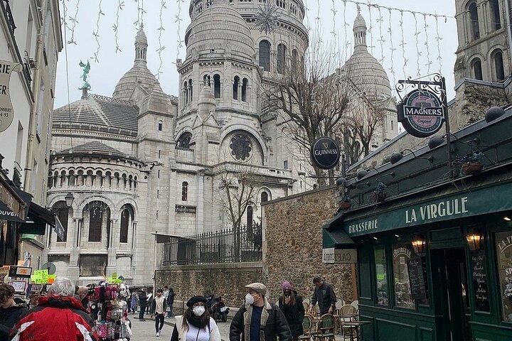 Paris Private and Customized Tour with Driver-Guide for Layovers