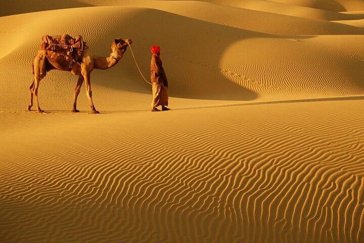 4hrs Dubai Morning Private 4x4 Jeep Only Dunes Drive Camel Ride