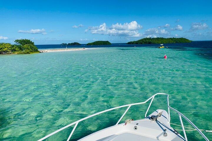 Boat trip visit Mangroves, islets and lagoon