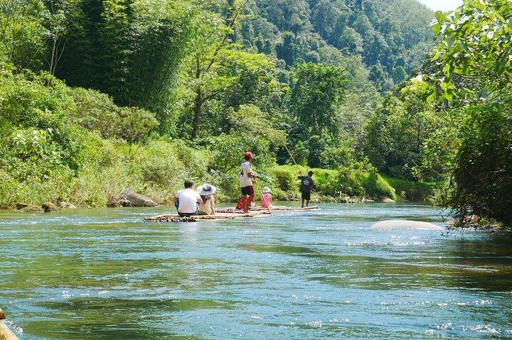 Bamboo Rafting and Sea Turtle Conservation Center Half Day Tour From Khao Lak
