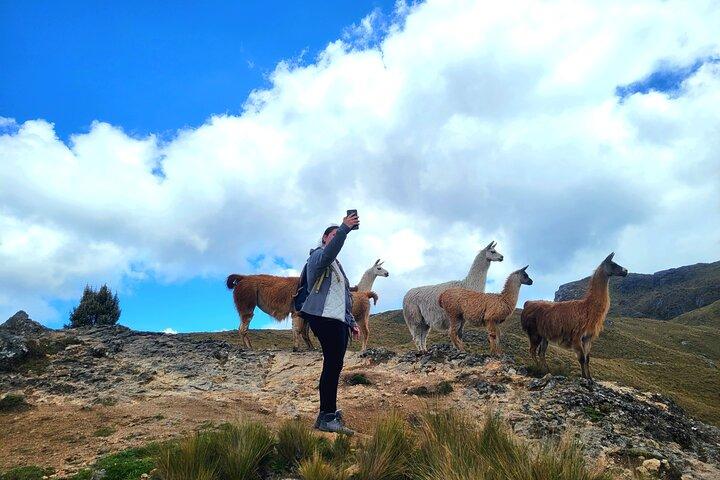 Cajas National Park Small-Group tour from Cuenca