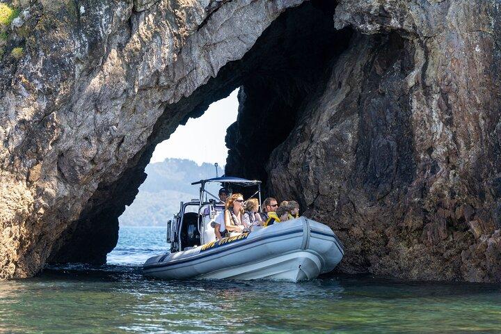 Whitianga: Cathedral Cove Cruise, Caves & Snorkelling