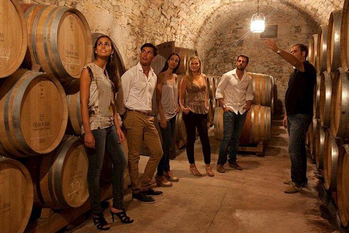 Half Day Swan Valley Afternoon Wine Tour - Premium Small Group Tour