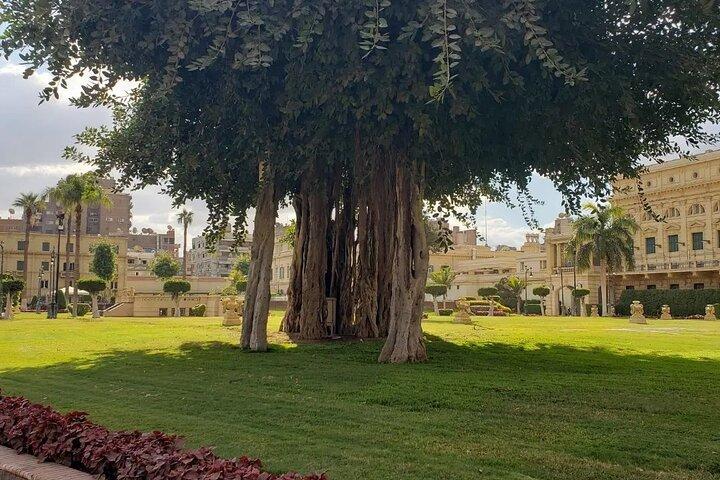 Tour To the museums of Abdeen Palace in Cairo