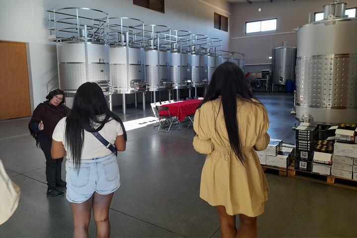 Enjoy The Algarvian Wine Taste & Coast Line Private Van Tour