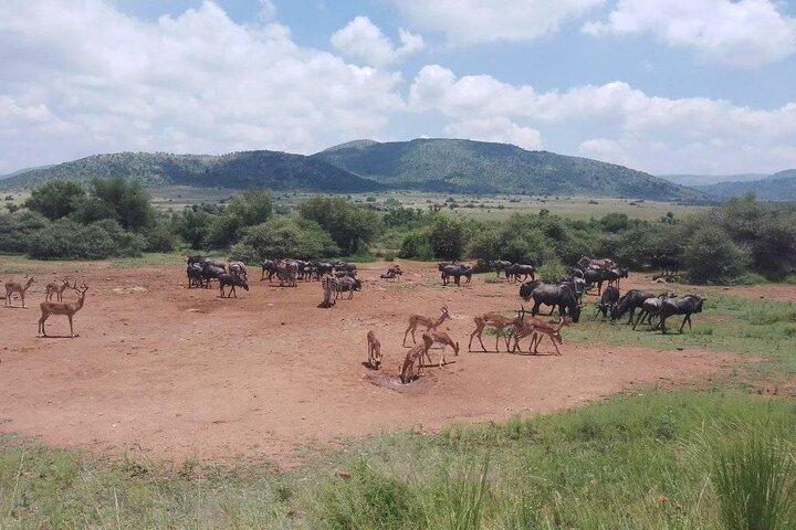 Hluhluwe Imfolozi Park And Isimangaliso Wetlands Park .st Lucia