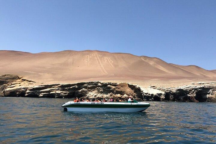 From Lima: All-Inclusive Day trip to Paracas & Huacachina Oasis