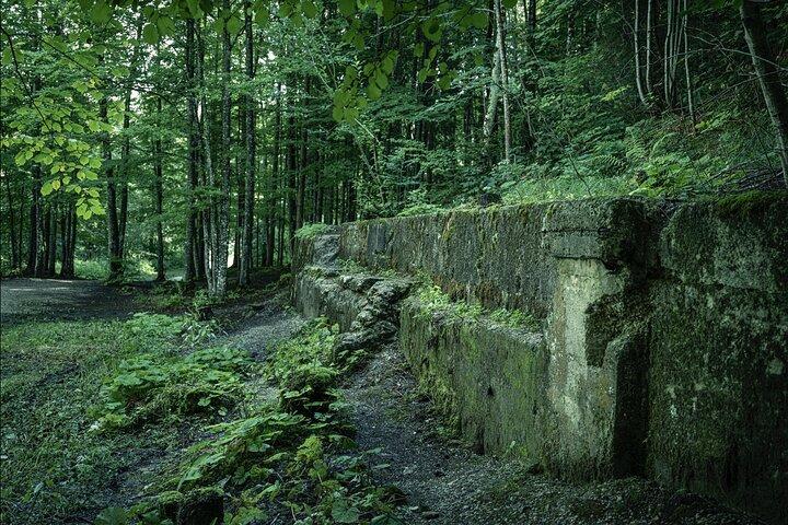 Eagle's Nest-Berchtesgaden-Obersalzberg Private Half Day WWII Historical Tour