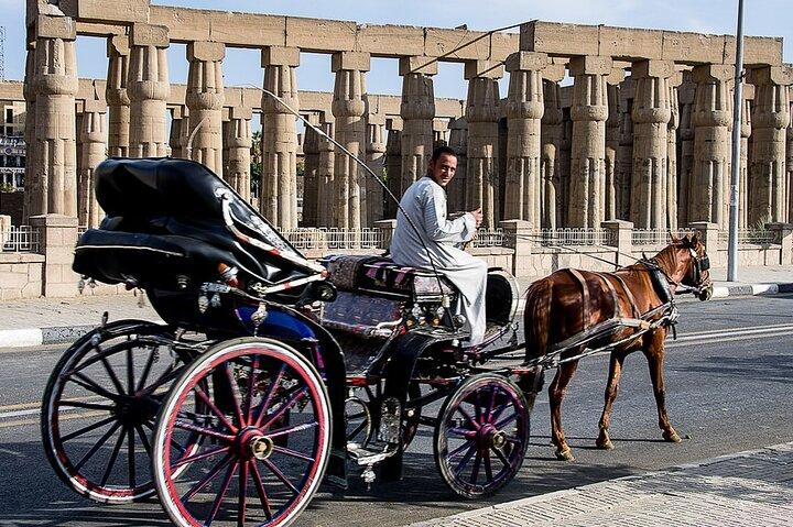 Luxor City Tour By Horse Carriage