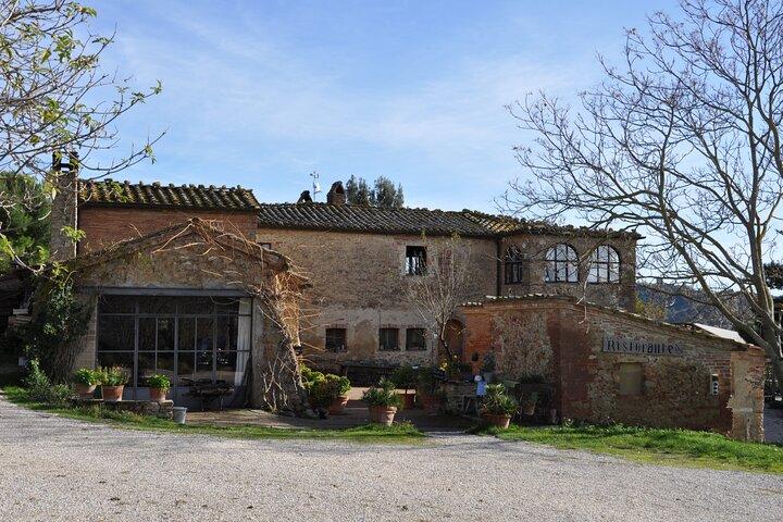 Exclusive Val d'Orcia Tour from Florence - A cinematic universe