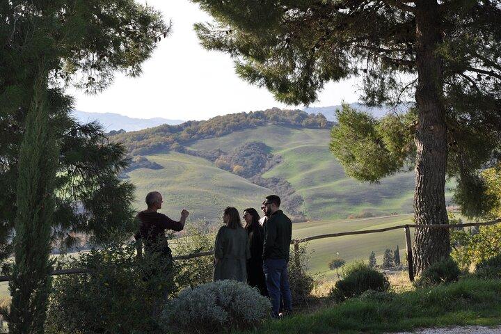 Exclusive Val d'Orcia Tour from Florence - A cinematic universe