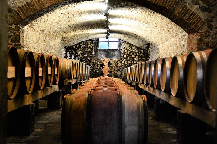 Private Chianti with Lunch Half Day Experience from Florence