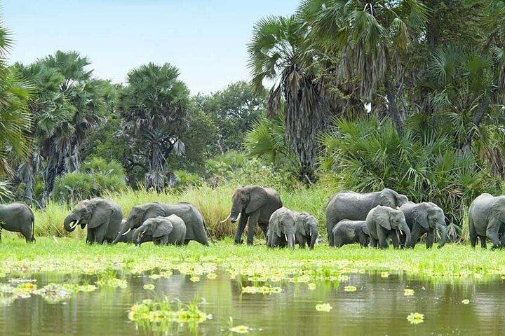 3 Days Selous (Nyerere) Safari from Zanzibar or Dar es salaam