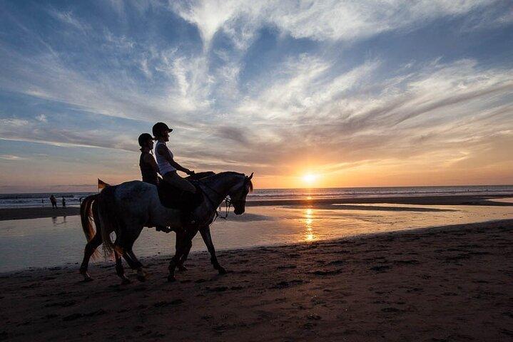 Horse Riding on the Black Sand Beach and Free Hotel Transfers