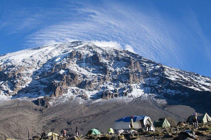 8-Day Mount Kilimanjaro Lemosho Route Trek
