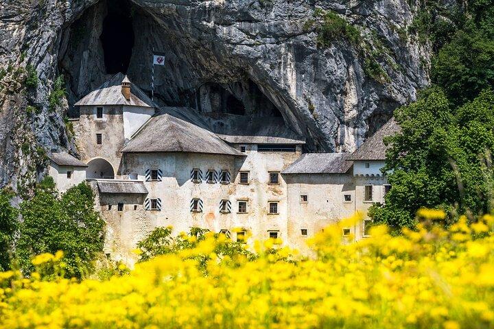 Ljubljana: Postojna cave & Predjama castle small group tour