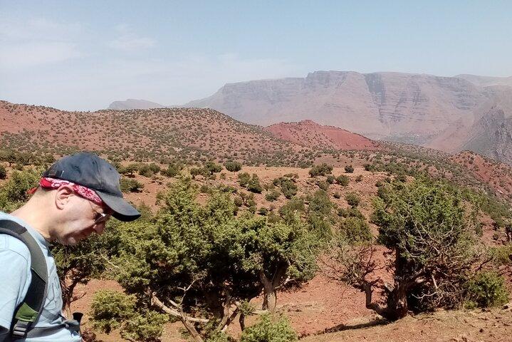 High Atlas Adventure: Discover Ourika Valley and Berber Culture