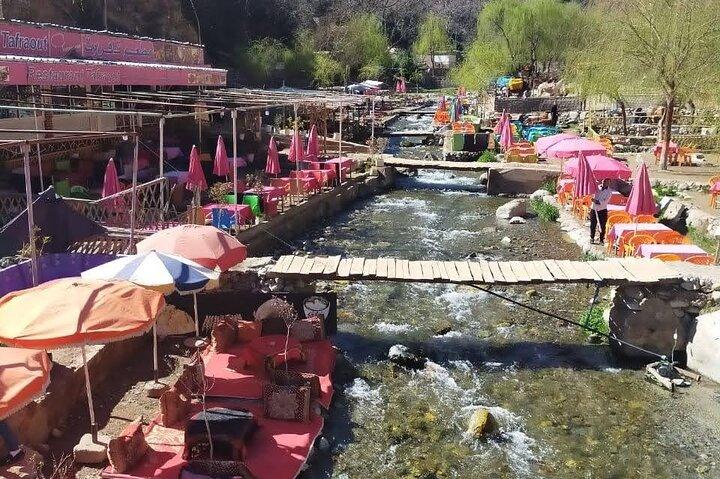 High Atlas Adventure: Discover Ourika Valley and Berber Culture