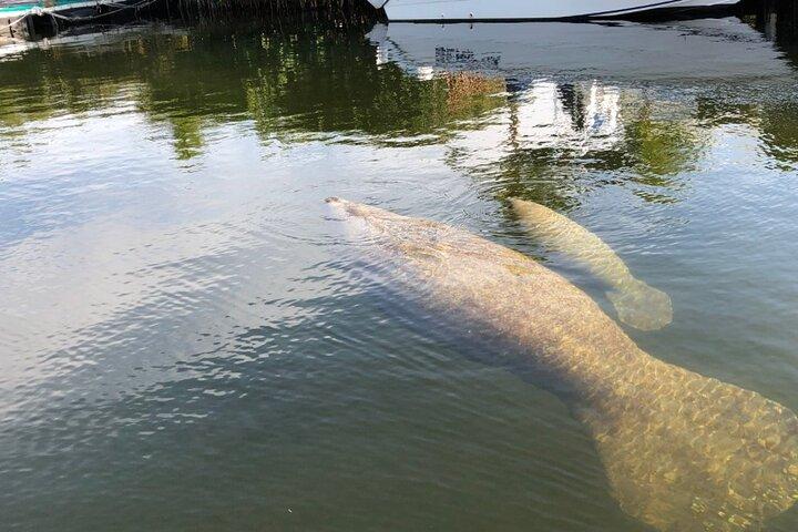 Key Largo Sunset Cruise