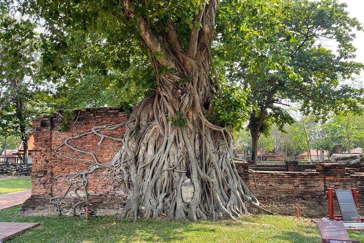 Ayutthaya Historical Old Capital day Tour from Bangkok