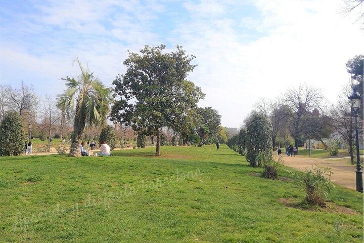 Guided Tour Ciutadella Park Nature, Triumphal Arch and Gaudí in Barcelona.