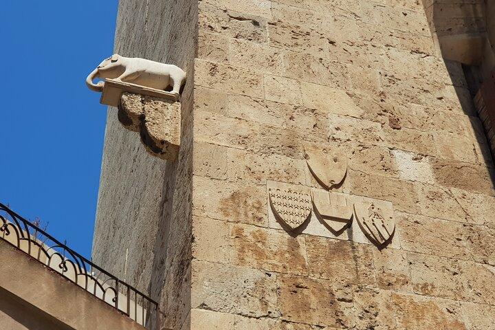 Cagliari city tour and flamingo park by minivan and on foot
