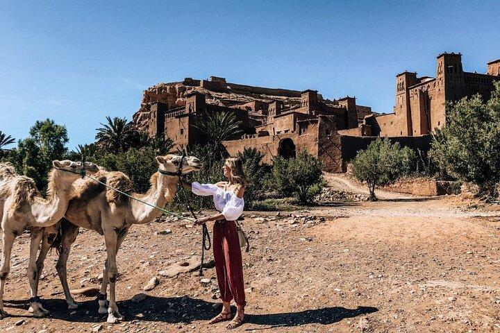 Full-Day Guided Tour to the Atlas Mountains & Waterfalls, 3 valleys, Marrakech