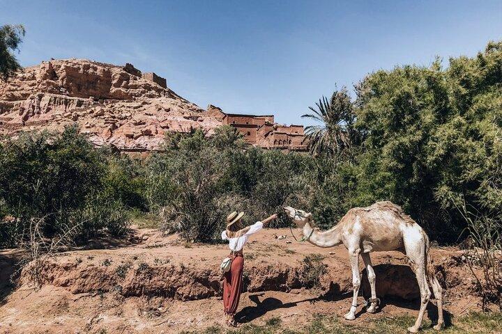 Camel Ride Day Trip in Atlas Mountains and Three Valleys Marrakech