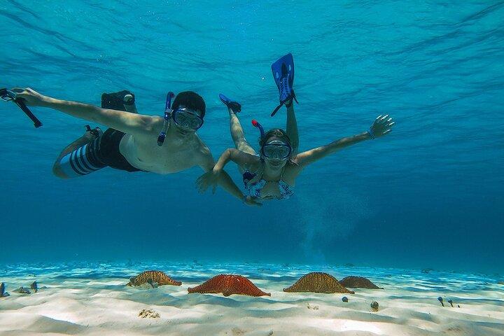 El Cielo the Breathtaking Snorkel Tour of Cozumel Cielito Beach & Lunch Included