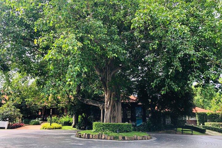 Khao Yai Private tour from Bangkok