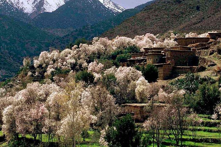 Day Excursion to Atlas Mountains from Marrakech