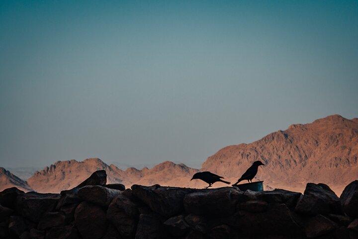 From Cairo - Overnight Trip to St. Catherine Monastery and Mount Sinai