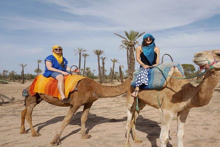 Sunset Camel Ride in the Palm Grove of Marrakech