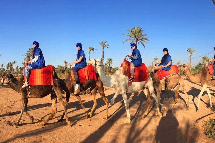 Sunset Camel Ride in the Palm Grove of Marrakech