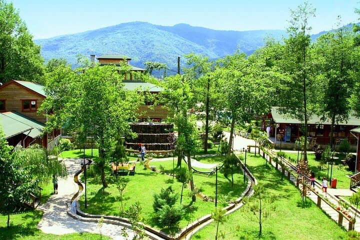 Daily Sapanca & Maşukiye & Mahmudiye Tour with Lunch from Istanbul