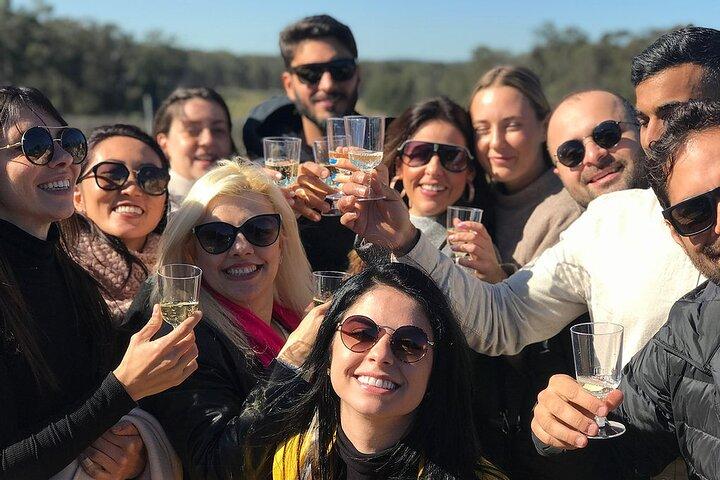 Hunter Valley Wine Tour from Sydney: 3 Wineries & Vineyard Picnic