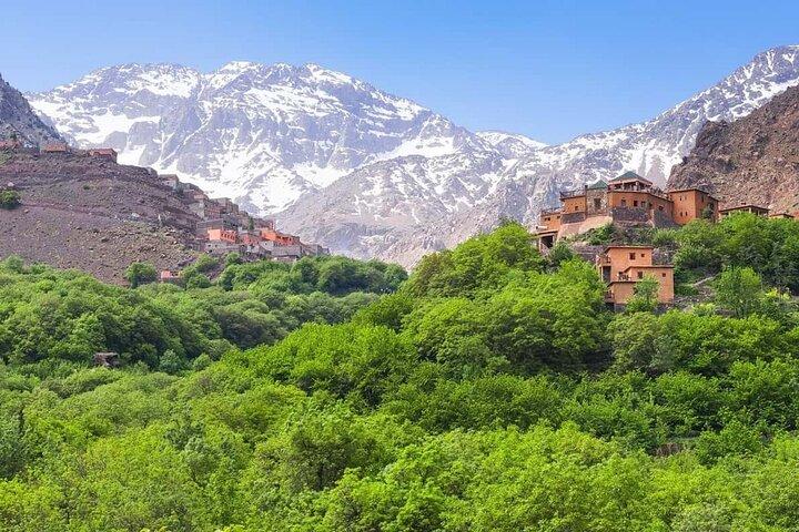 Desert Agafay Day Trip and Atlas Mountains from Marrakech